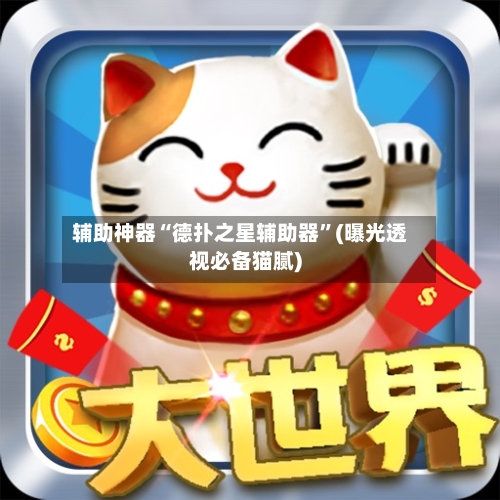 辅助神器“德扑之星辅助器”(曝光透视必备猫腻)-第1张图片