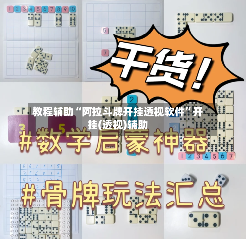 教程辅助“阿拉斗牌开挂透视软件”开挂(透视)辅助-第1张图片