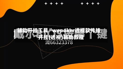 辅助开挂工具“wepoker透视软件挂”开挂(透视)辅助教程-第1张图片