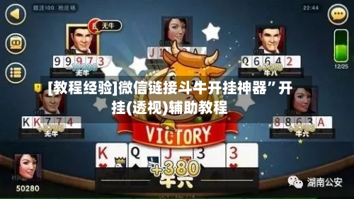 [教程经验]微信链接斗牛开挂神器”开挂(透视)辅助教程-第2张图片