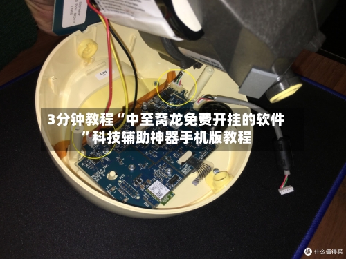 3分钟教程“中至窝龙免费开挂的软件”科技辅助神器手机版教程-第1张图片