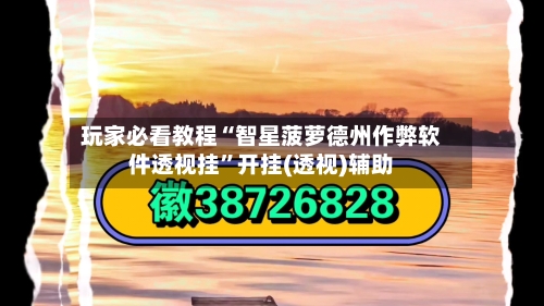 玩家必看教程“智星菠萝德州作弊软件透视挂”开挂(透视)辅助-第1张图片