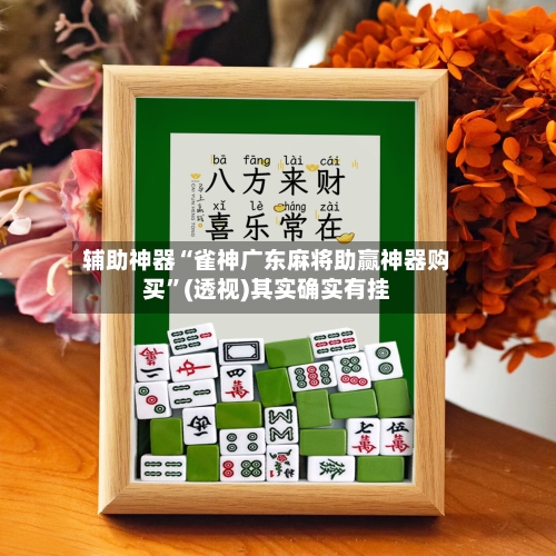 辅助神器“雀神广东麻将助赢神器购买”(透视)其实确实有挂-第2张图片