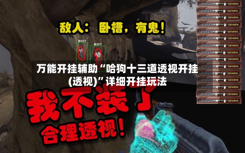 万能开挂辅助“哈狗十三道透视开挂(透视)”详细开挂玩法-第2张图片