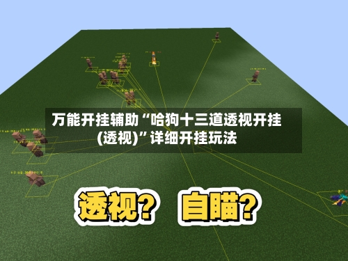 万能开挂辅助“哈狗十三道透视开挂(透视)”详细开挂玩法-第3张图片