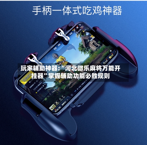 玩家辅助神器:“河北微乐麻将万能开挂器”掌握辅助功能必胜规则-第1张图片