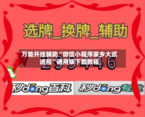 万能开挂辅助“微信小程序家乡大贰透视”通用版下载教程-第1张图片