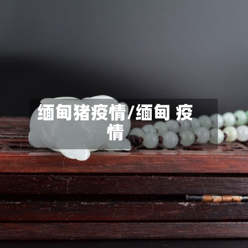 缅甸猪疫情/缅甸 疫情-第3张图片