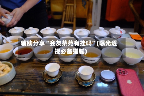 辅助分享“会友茶苑有挂吗”(曝光透视必备猫腻)-第1张图片