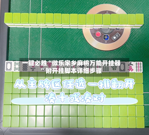 一键必胜“微乐家乡麻将万能开挂器	”附开挂脚本详细步骤-第1张图片