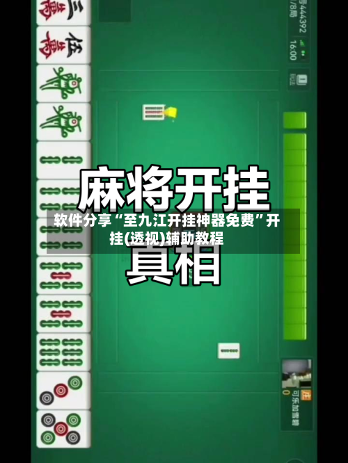 软件分享“至九江开挂神器免费”开挂(透视)辅助教程-第3张图片