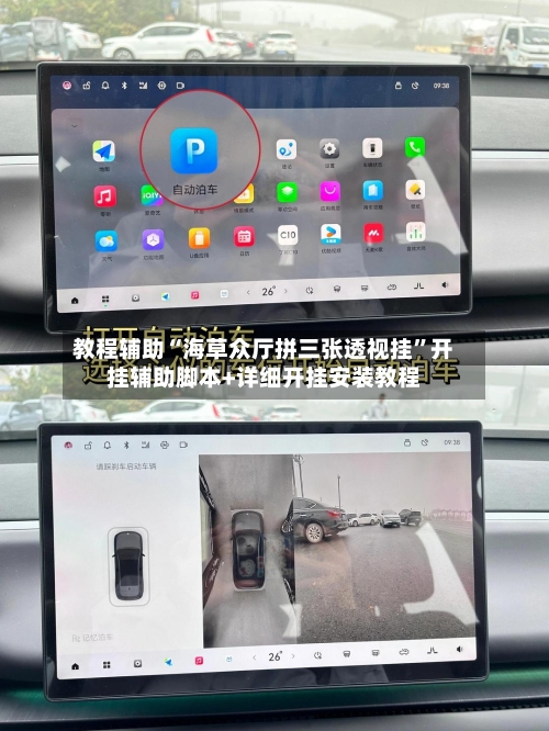 教程辅助“海草众厅拼三张透视挂”开挂辅助脚本+详细开挂安装教程-第2张图片