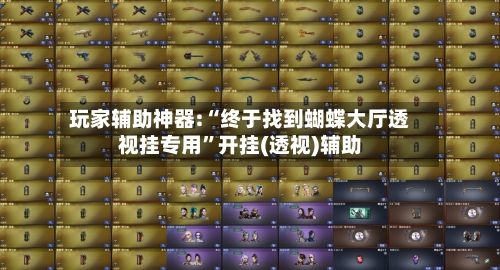 玩家辅助神器:“终于找到蝴蝶大厅透视挂专用	”开挂(透视)辅助-第1张图片