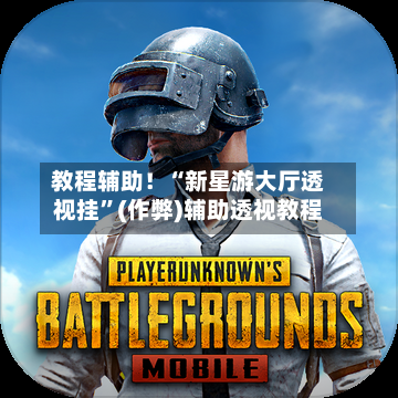 教程辅助！“新星游大厅透视挂”(作弊)辅助透视教程-第1张图片