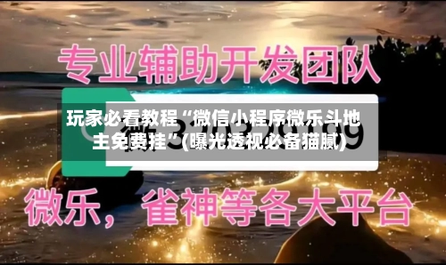 玩家必看教程“微信小程序微乐斗地主免费挂”(曝光透视必备猫腻)-第3张图片