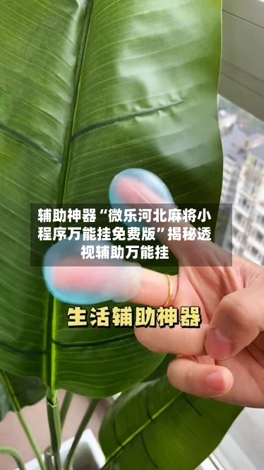 辅助神器“微乐河北麻将小程序万能挂免费版	”揭秘透视辅助万能挂-第1张图片