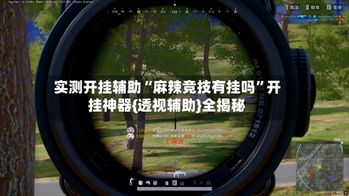 实测开挂辅助“麻辣竞技有挂吗”开挂神器{透视辅助}全揭秘-第2张图片