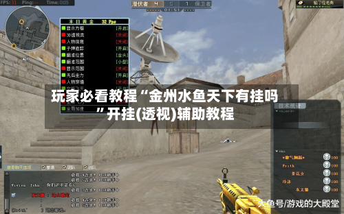 玩家必看教程“金州水鱼天下有挂吗”开挂(透视)辅助教程-第3张图片