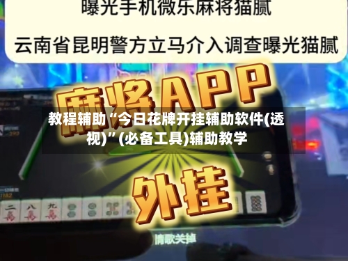 教程辅助“今日花牌开挂辅助软件(透视)	”(必备工具)辅助教学-第2张图片