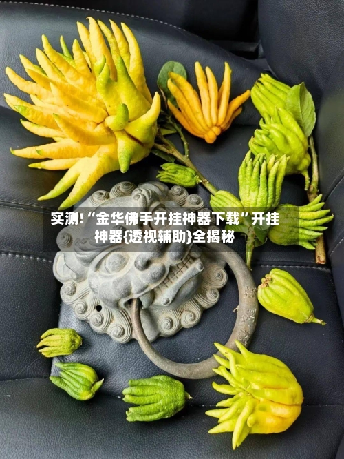 实测!“金华佛手开挂神器下载	”开挂神器{透视辅助}全揭秘-第1张图片