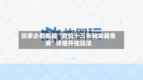玩家必看教程“微信十三张辅助器免费”详细开挂玩法-第2张图片