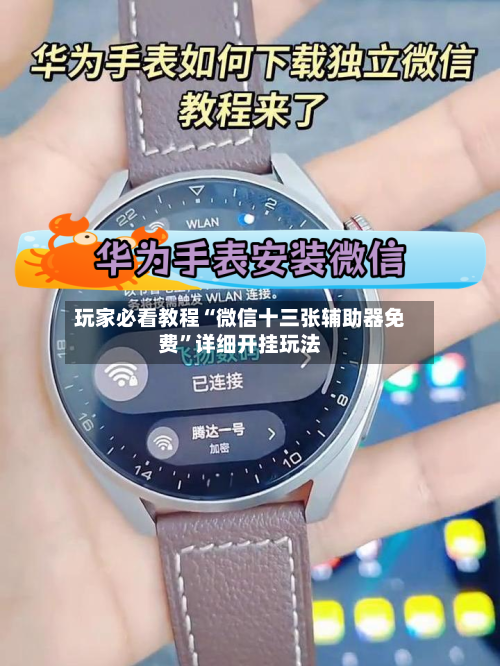 玩家必看教程“微信十三张辅助器免费”详细开挂玩法-第3张图片