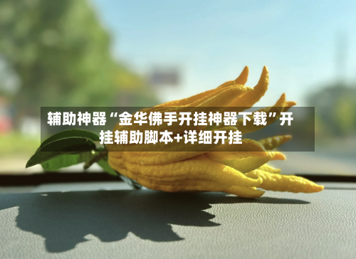 辅助神器“金华佛手开挂神器下载”开挂辅助脚本+详细开挂-第1张图片