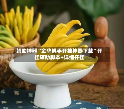 辅助神器“金华佛手开挂神器下载	”开挂辅助脚本+详细开挂-第2张图片