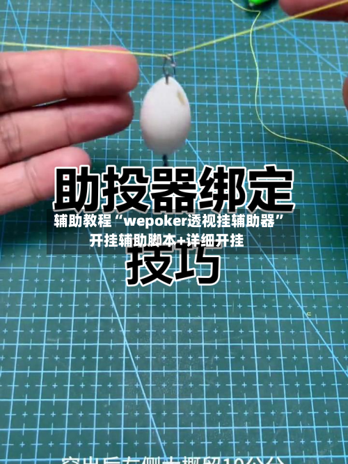 辅助教程“wepoker透视挂辅助器”开挂辅助脚本+详细开挂-第1张图片