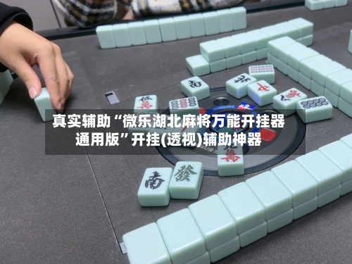 真实辅助“微乐湖北麻将万能开挂器通用版”开挂(透视)辅助神器-第2张图片