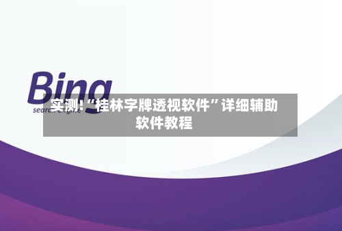 实测!“桂林字牌透视软件	”详细辅助软件教程-第2张图片