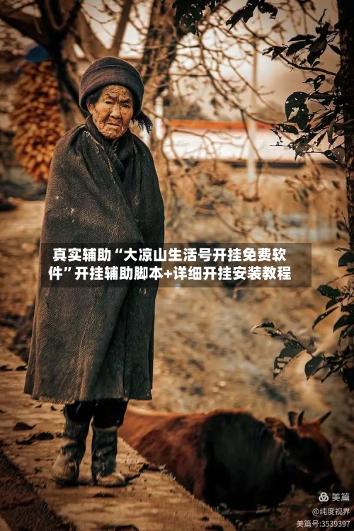 真实辅助“大凉山生活号开挂免费软件”开挂辅助脚本+详细开挂安装教程-第1张图片