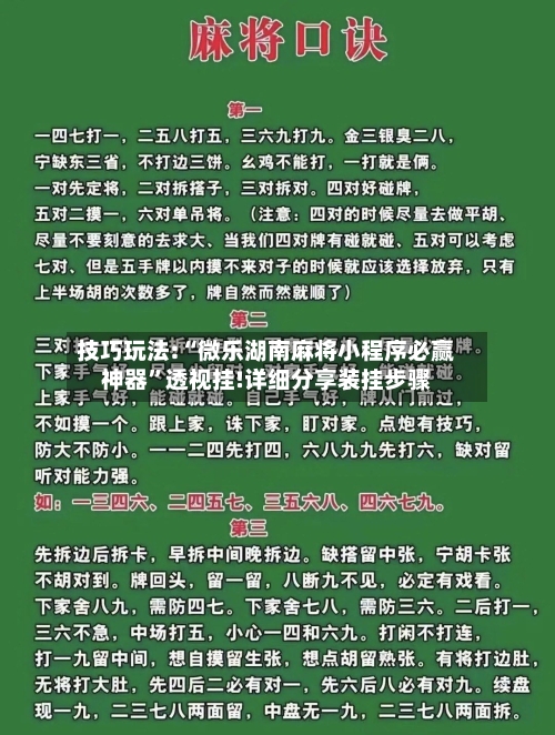 技巧玩法:“微乐湖南麻将小程序必赢神器	”透视挂!详细分享装挂步骤-第2张图片