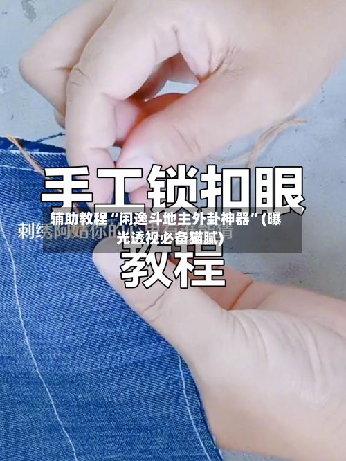 辅助教程“闲逸斗地主外卦神器”(曝光透视必备猫腻)-第1张图片