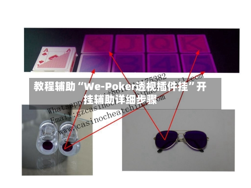 教程辅助“We-Poker透视插件挂	”开挂辅助详细步骤-第1张图片