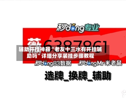 辅助开挂神器“老友十三水有开挂辅助吗	”详细分享装挂步骤教程-第2张图片