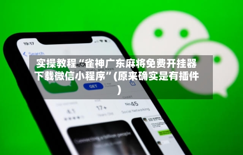 实操教程“雀神广东麻将免费开挂器下载微信小程序”(原来确实是有插件)-第2张图片