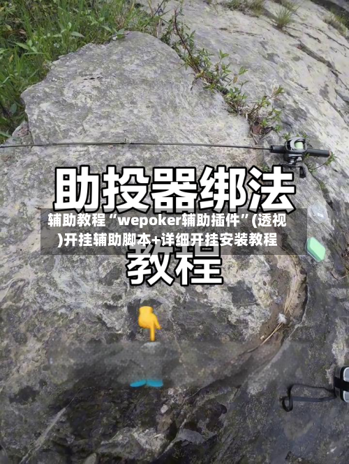 辅助教程“wepoker辅助插件”(透视)开挂辅助脚本+详细开挂安装教程-第1张图片