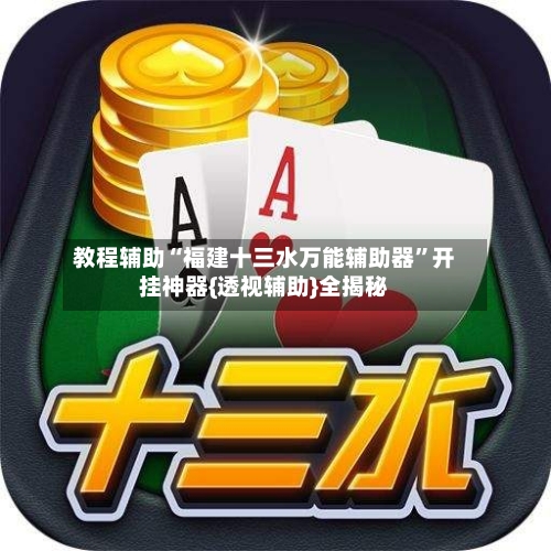 教程辅助“福建十三水万能辅助器”开挂神器{透视辅助}全揭秘-第2张图片