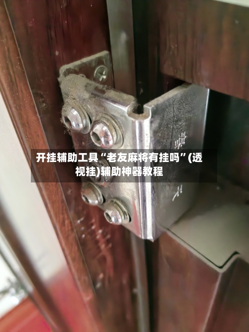 开挂辅助工具“老友麻将有挂吗”(透视挂)辅助神器教程-第2张图片