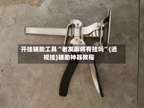 开挂辅助工具“老友麻将有挂吗”(透视挂)辅助神器教程-第3张图片
