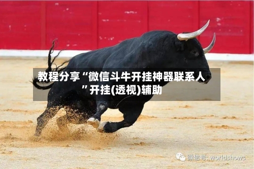 教程分享“微信斗牛开挂神器联系人”开挂(透视)辅助-第3张图片