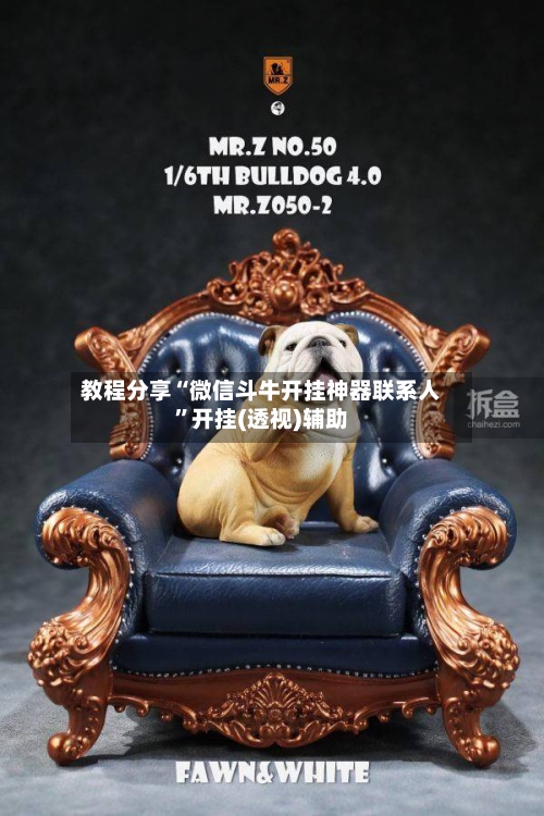 教程分享“微信斗牛开挂神器联系人”开挂(透视)辅助-第1张图片