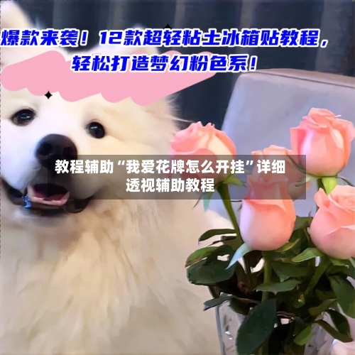 教程辅助“我爱花牌怎么开挂”详细透视辅助教程-第1张图片