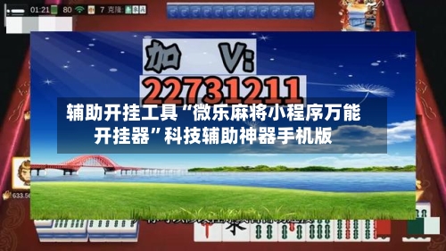辅助开挂工具“微乐麻将小程序万能开挂器”科技辅助神器手机版-第3张图片