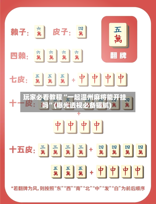 玩家必看教程“一起温州麻将能开挂吗”(曝光透视必备猫腻)-第1张图片