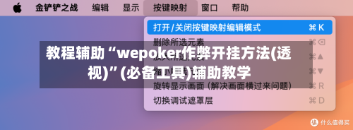 教程辅助“wepoker作弊开挂方法(透视)”(必备工具)辅助教学-第1张图片