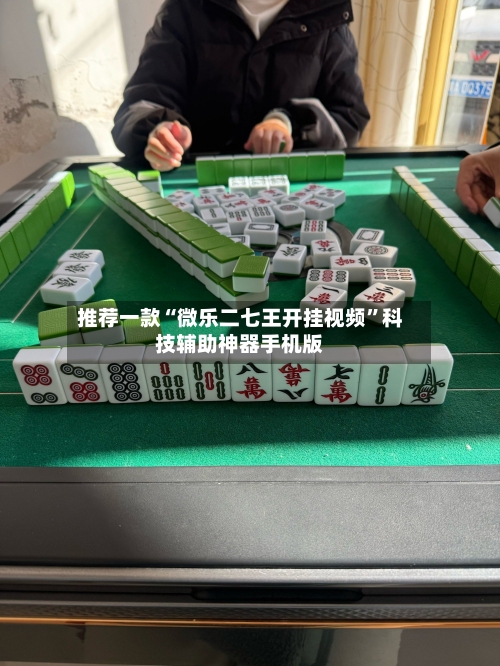 推荐一款“微乐二七王开挂视频”科技辅助神器手机版-第3张图片