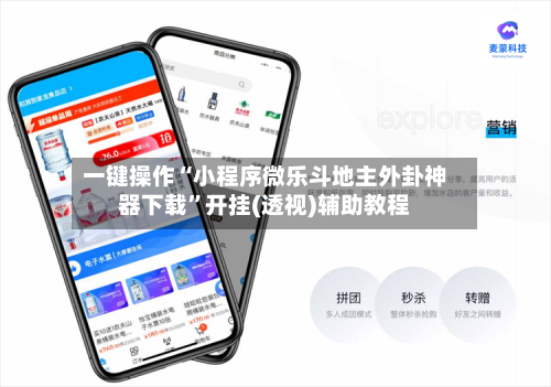 一键操作“小程序微乐斗地主外卦神器下载”开挂(透视)辅助教程-第3张图片