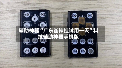 辅助神器“广东雀神挂试用一天”科技辅助神器手机版-第2张图片